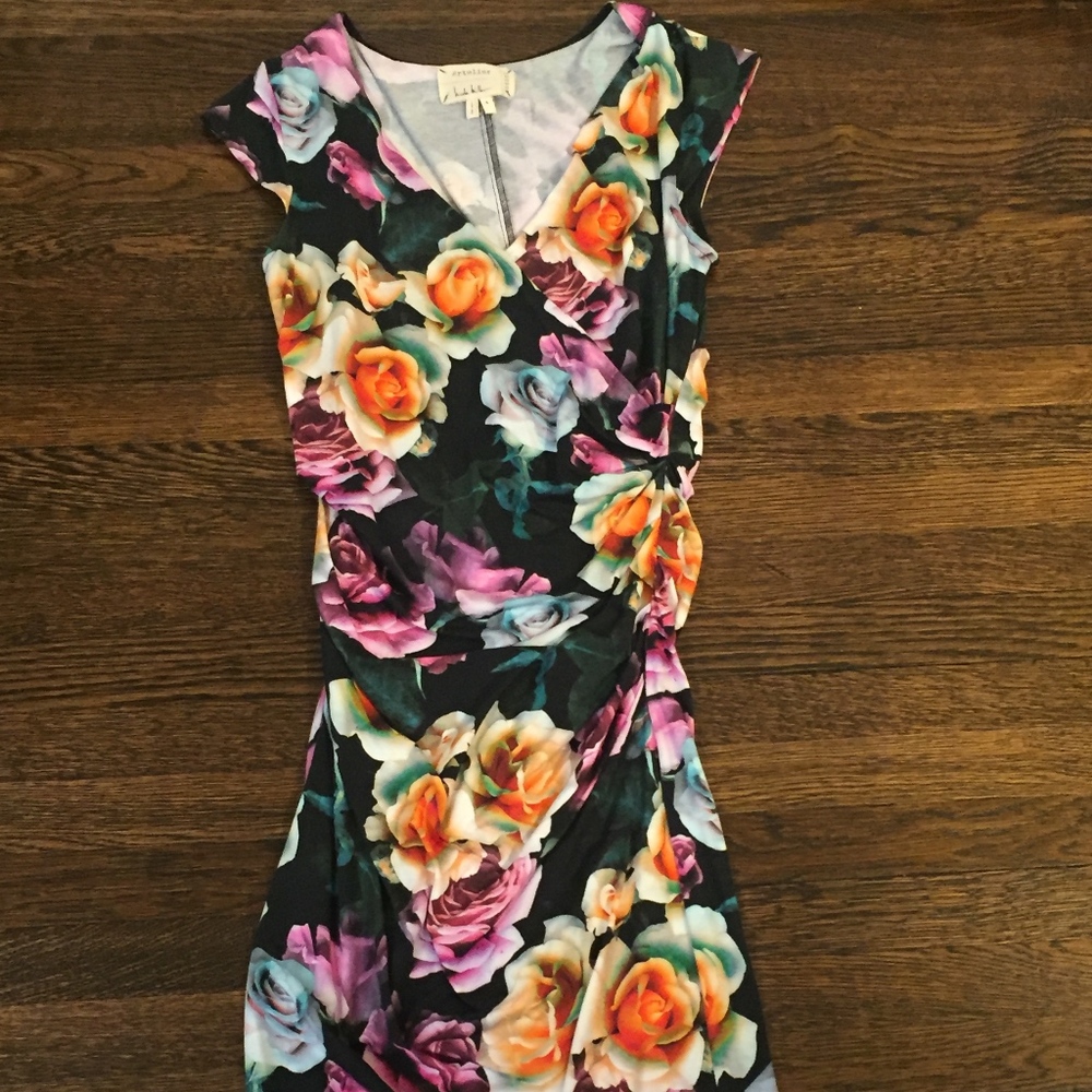 Nicole Miller Artelier Maternity Dress